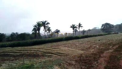 Chácara, 2 hectares - Foto 4