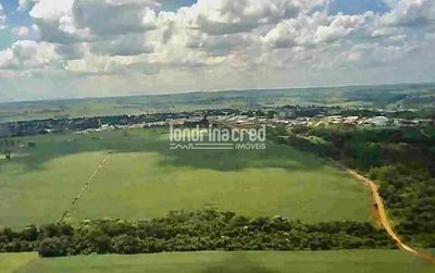 Terreno, 32 hectares - Foto 2