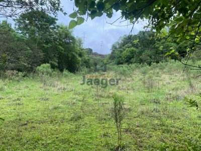 Terreno, 2 hectares - Foto 3