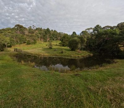 Fazenda, 97 hectares - Foto 2