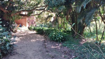 Terreno, 7 hectares - Foto 4