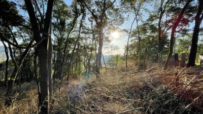 Terreno - Foto 4