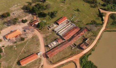 Sítio, 7 quartos, 2 hectares - Foto 1
