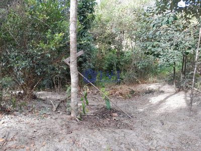 Chácara, 2 quartos, 1200 m² - Foto 4