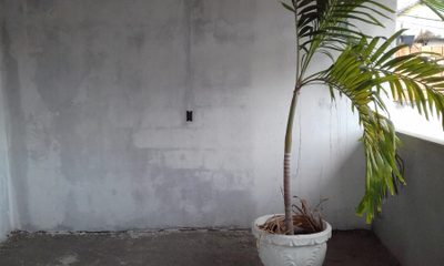 Casa, 4 quartos, 72 m² - Foto 3