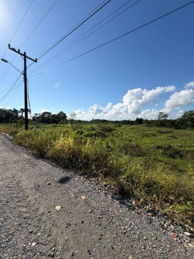Terreno, 2 hectares - Foto 3