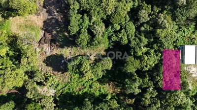 Terreno, 375 m² - Foto 5