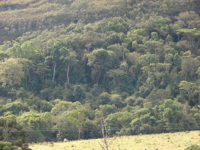 Terreno, 19 hectares - Foto 4