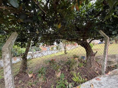 Terreno, 234 m² - Foto 1