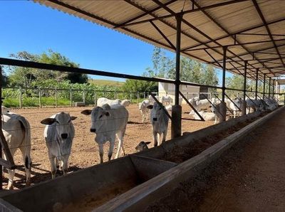 Fazenda, 106 m² - Foto 4