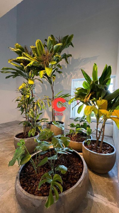 Apartamento, 3 quartos, 88 m² - Foto 5