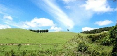Fazenda, 300 m² - Foto 4