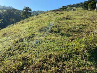 Terreno, 1 hectares - Foto 5