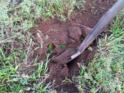 Terreno, 3600 m² - Foto 2