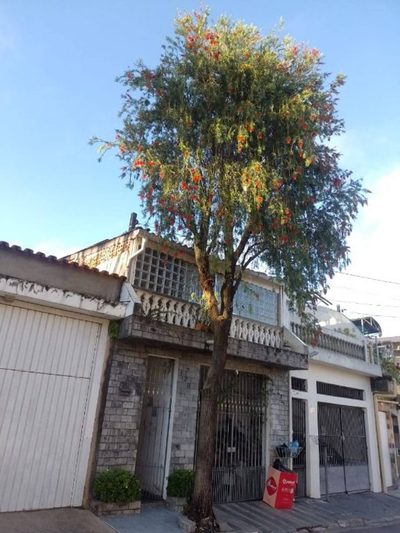 Sobrado, 2 quartos, 100 m² - Foto 1