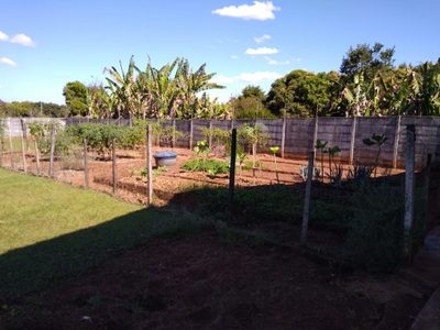 Chácara, 3 quartos, 10000 m² - Foto 3