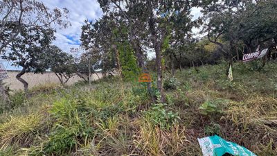 Terreno, 4740 m² - Foto 5
