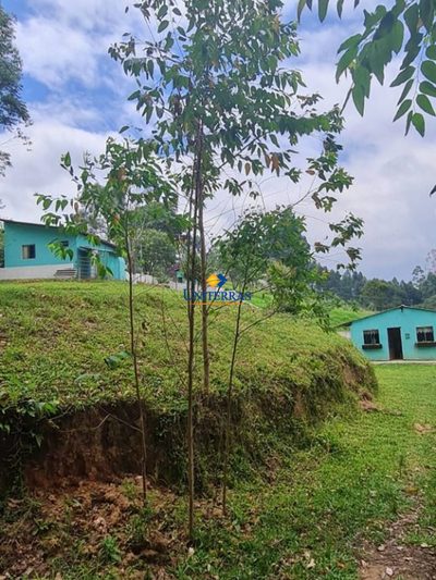 Chácara, 3 quartos, 3 hectares - Foto 4