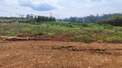 Terreno, 2 hectares - Foto 1