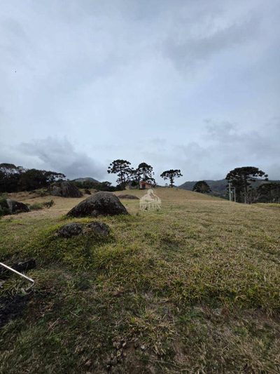 Terreno, 2 hectares - Foto 2