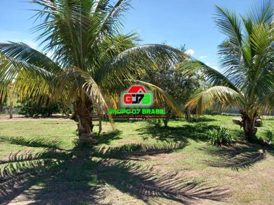 Terreno, 2500 m² - Foto 5