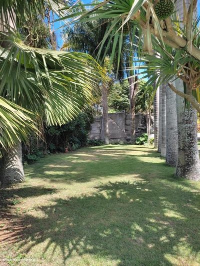 Casa, 5 quartos, 2500 m² - Foto 2