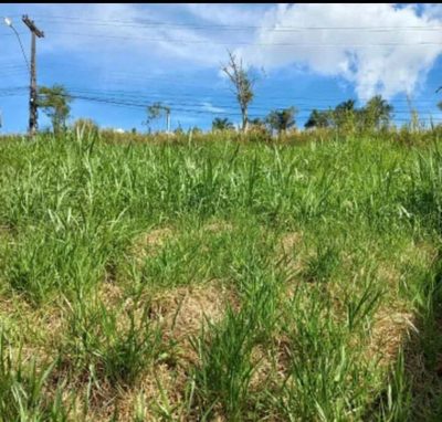 Terreno, 275 m² - Foto 5