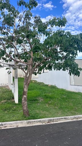 Loteamento e Condomínio, 196 m² - Foto 2