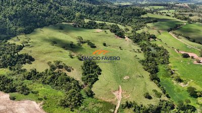 Fazenda, 653 hectares - Foto 3