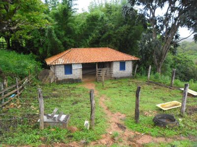 Chácara, 4 quartos - Foto 5