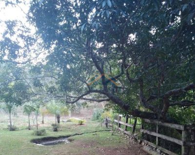 Terreno, 250 m² - Foto 1