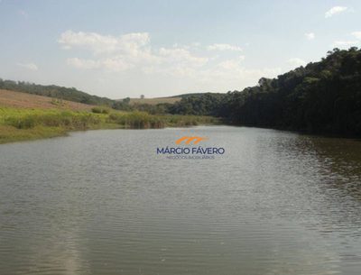 Fazenda, 341 hectares - Foto 4