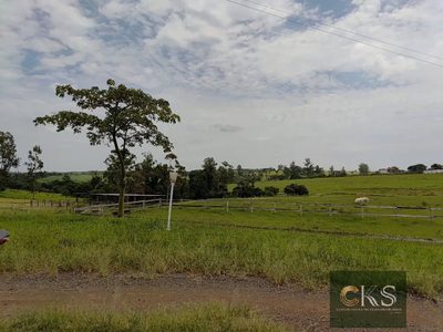 Terreno, 6 hectares - Foto 4