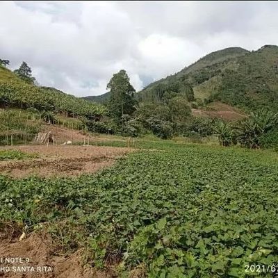 Sítio, 10000 m² - Foto 1