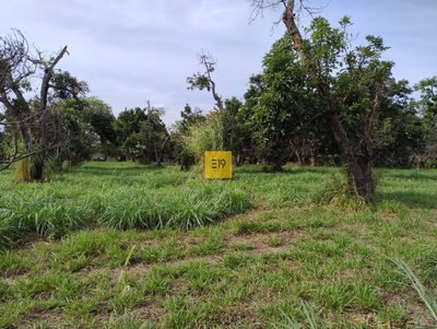 Terreno, 14100 m² - Foto 1