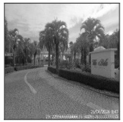 Terreno, 50 m² - Foto 1