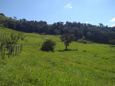 Sítio, 2 quartos, 77 hectares - Foto 5