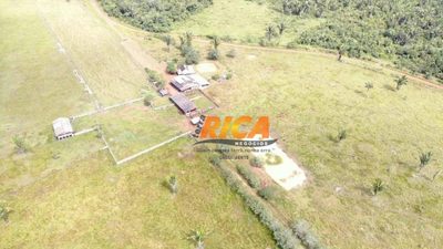 Fazenda, 480 hectares - Foto 4