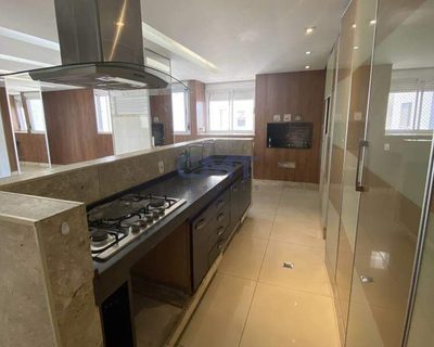 Cobertura, 4 quartos, 269 m² - Foto 3