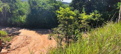 Terreno, 1423 m² - Foto 3