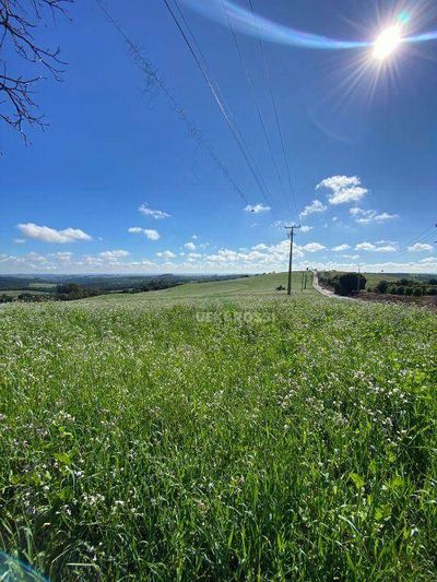 Fazenda, 48 hectares - Foto 1
