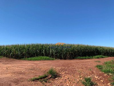 Fazenda, 257 hectares - Foto 2