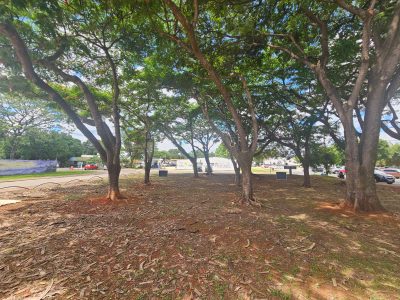 Terreno, 225 m² - Foto 1