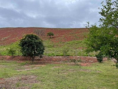 Sítio, 3 quartos, 266 m² - Foto 4