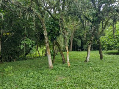 Terreno, 70 hectares - Foto 1