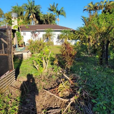 Terreno, 6 hectares - Foto 5