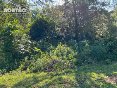 Terreno, 2 hectares - Foto 1