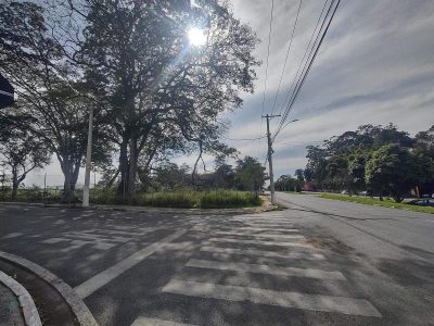 Terreno, 4 hectares - Foto 3