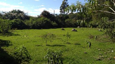 Terreno, 5000 m² - Foto 4