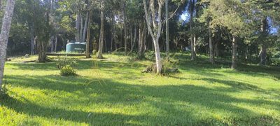 Sítio, 3 quartos, 3 hectares - Foto 5